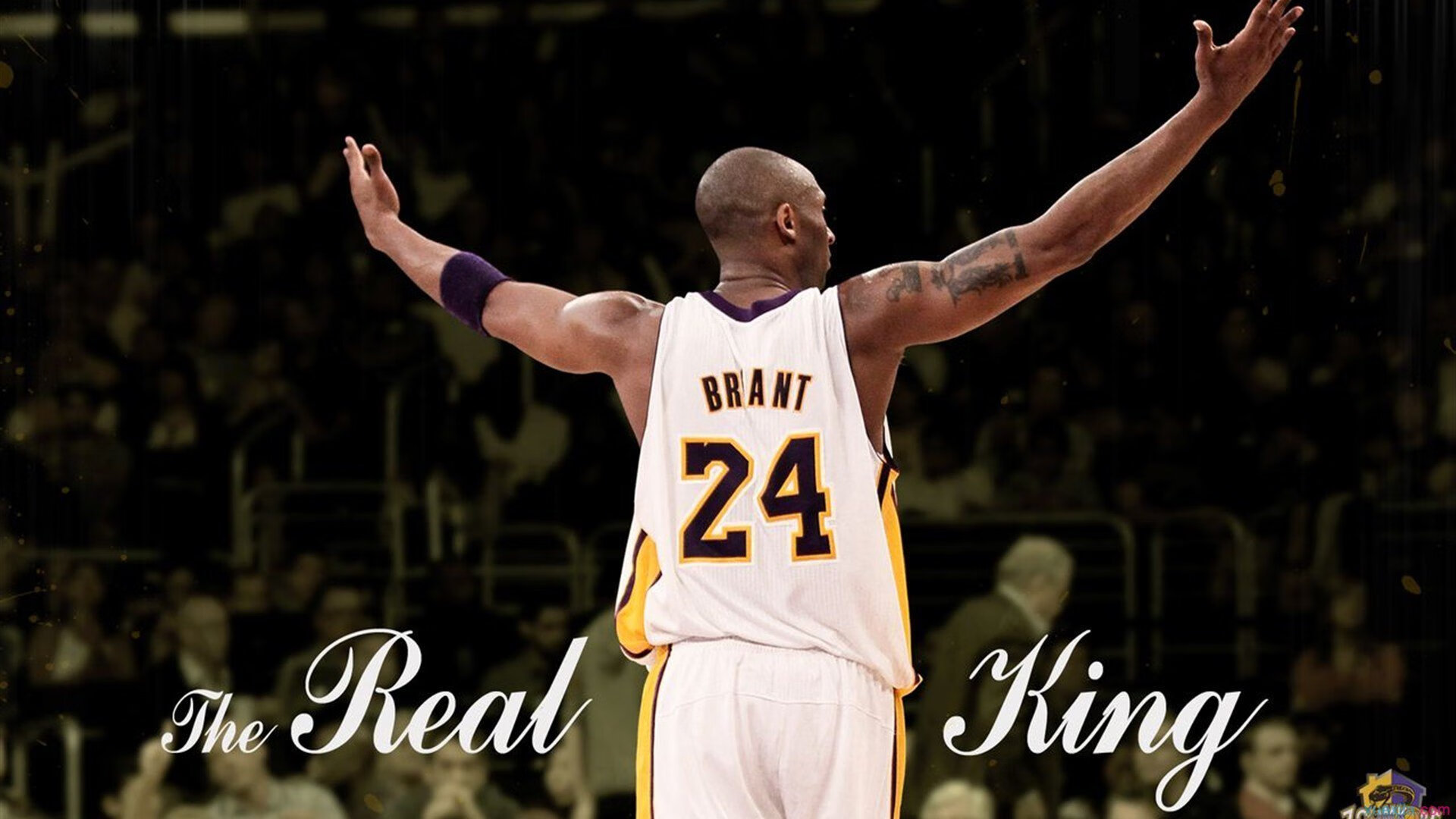 绝境重生！陶汉林狂揽30+15，江苏队惊天逆转深圳